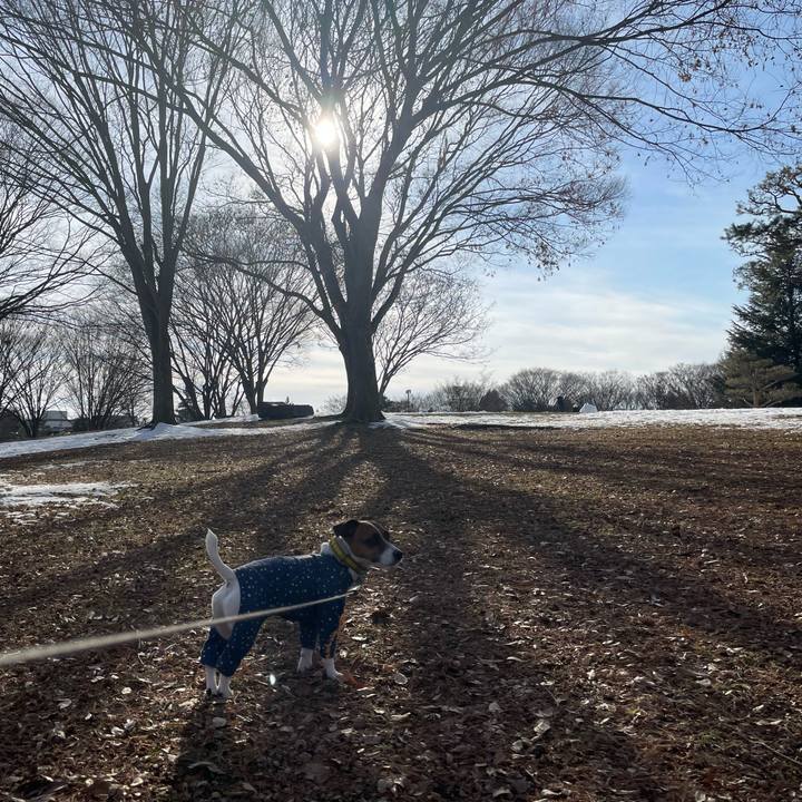 404ce2e9 981f 4752 bdb0 4737c8426d75 1644662990085