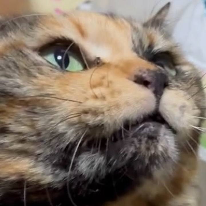 404d3957 3bb4 432f b4f7 aaeaf7711aa1 1770588306297