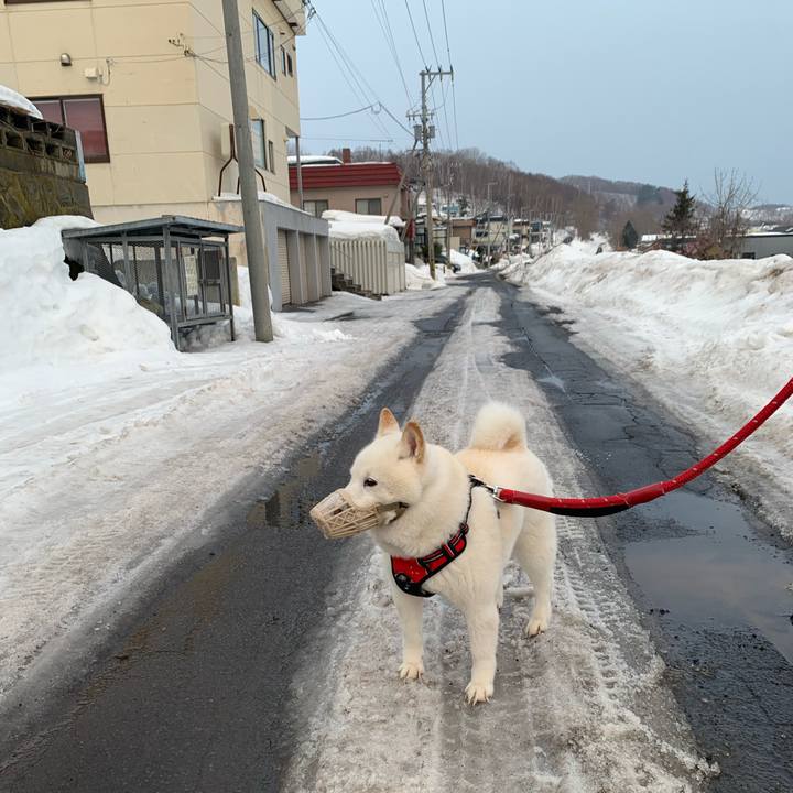 404d5c58 f505 43ff 847a 8465d6dc0d36 1678141525118