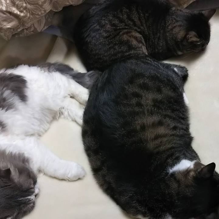 404d8e0c fc05 47b2 b5f2 e521c4dddf82 1635170024106