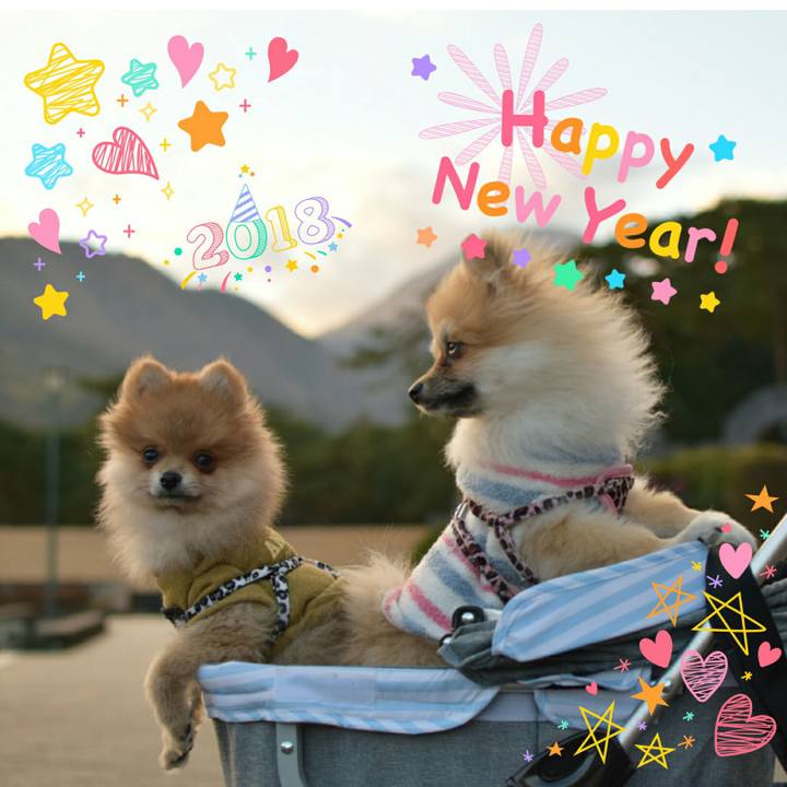 404de198 6253 45ff 953b b5b572bbd681 1514797820717