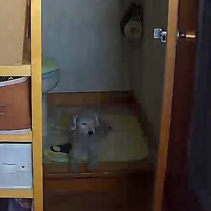 404de3ed d079 44b3 bb26 70f17110c366 1599179282295