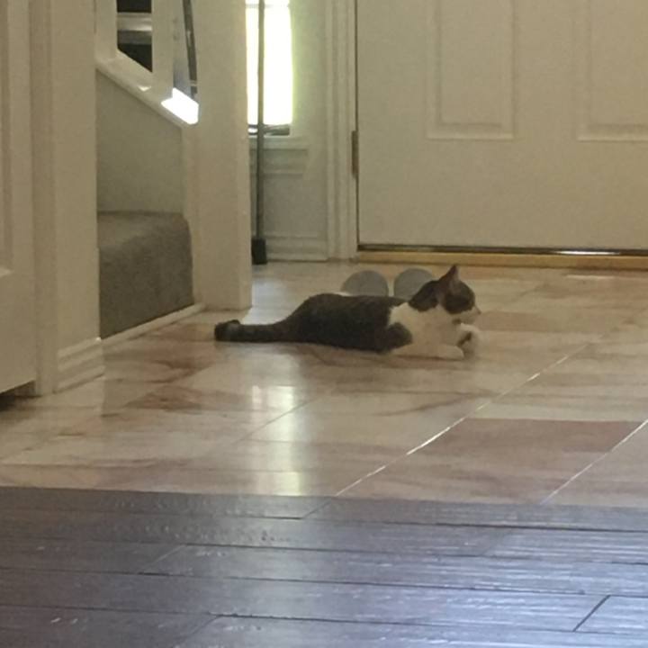 404e0f99 1a7a 4ead be35 1cafcd75a04d 1659572578151