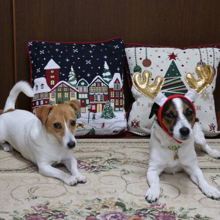 404e1e73 c9ab 41e8 a9e4 4756a8ac3233 1541202609001