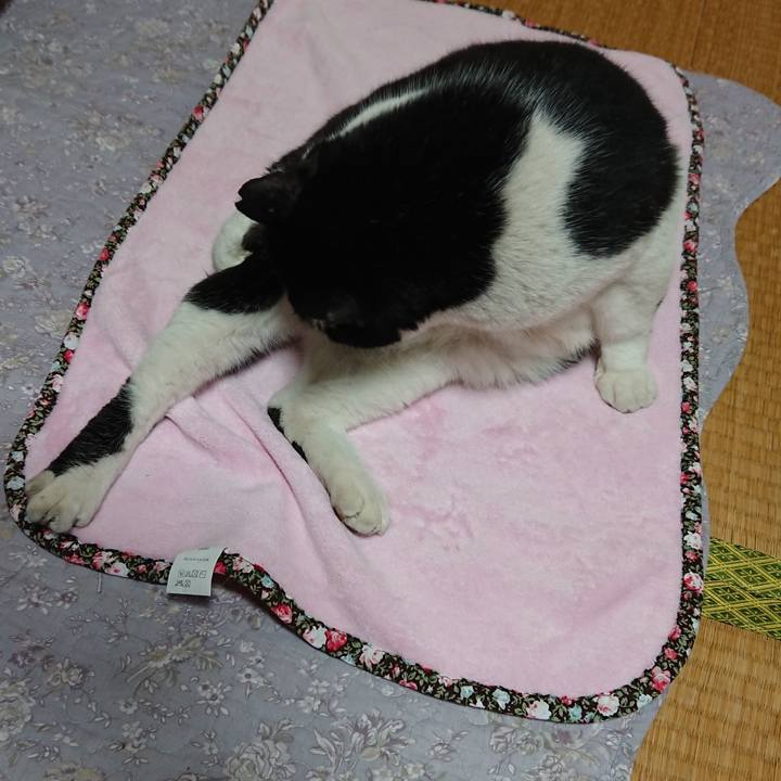 404e81c6 6af1 4f2c a4f3 57e22ce8f661 1553994165640