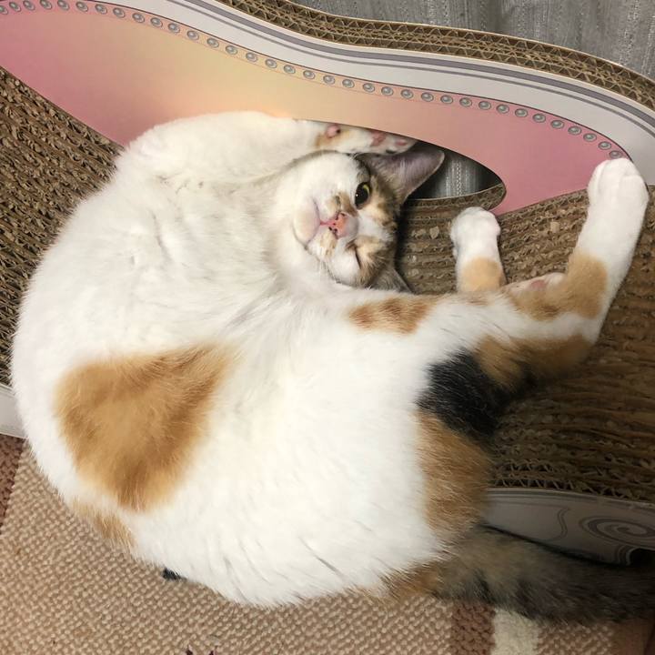 404e912b 7021 4bc5 881a 1ea7353eb80c 1595857061781