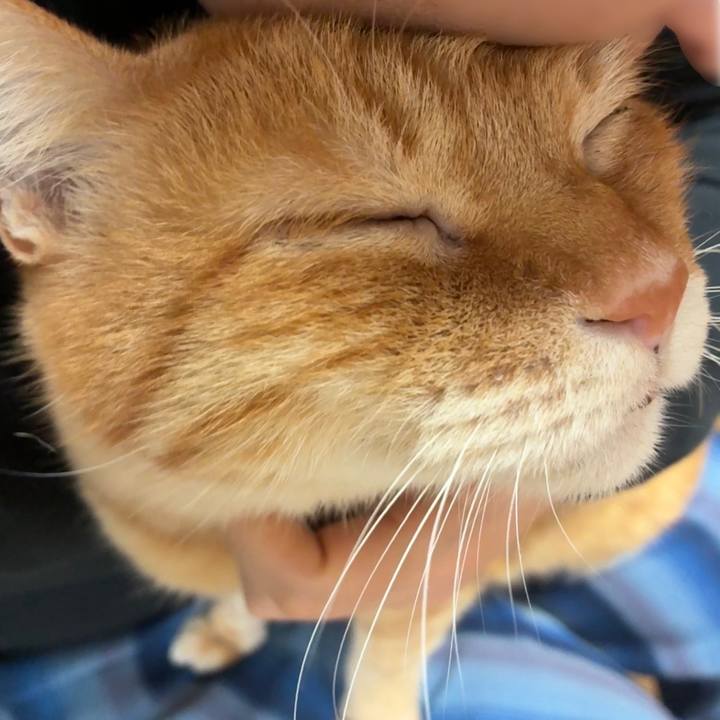 404e92ec 5e88 4d52 8db6 dc51d505f1d5 1767051840576