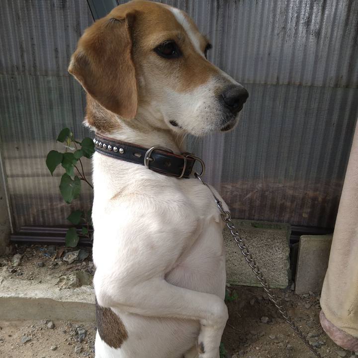 404ed264 6e90 4017 90d4 b1872410950b 1653565741300