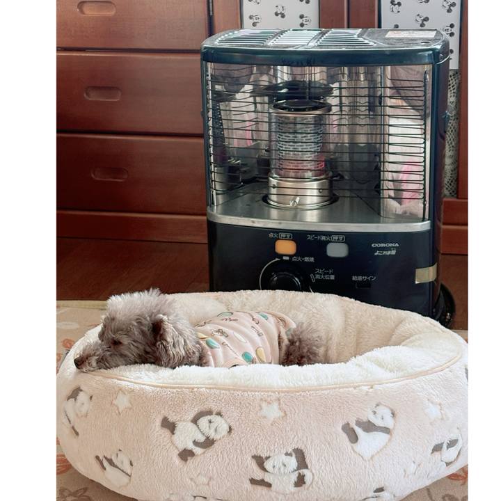 404edc8e ffd4 4e8e b7ea 6b1b33d8fe6c 1768175170297