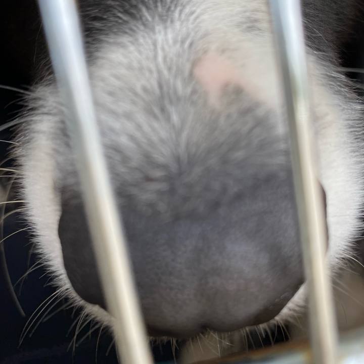 404eef29 e8a5 4dc7 9967 0272c1124aae 1650892040677