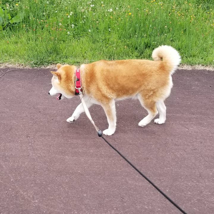 404effa9 e6b8 444c 9c0f bad3c749fc1e 1717659932713