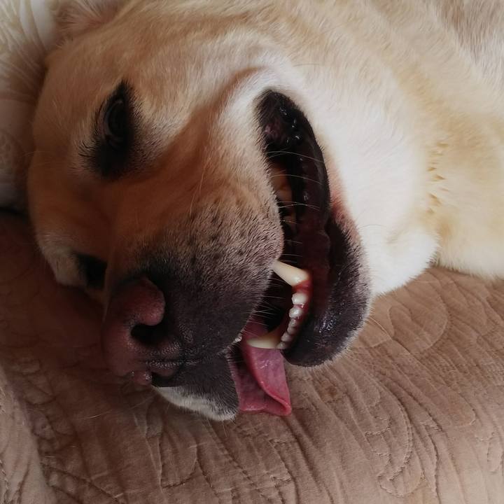 404f7f4b 2774 4edb 905c cb6fe649d7d0 1567212383230