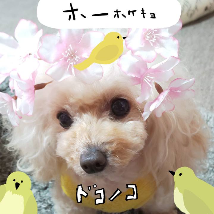 404f8420 7230 4c91 95e2 2d726f672f7c 1711583541029