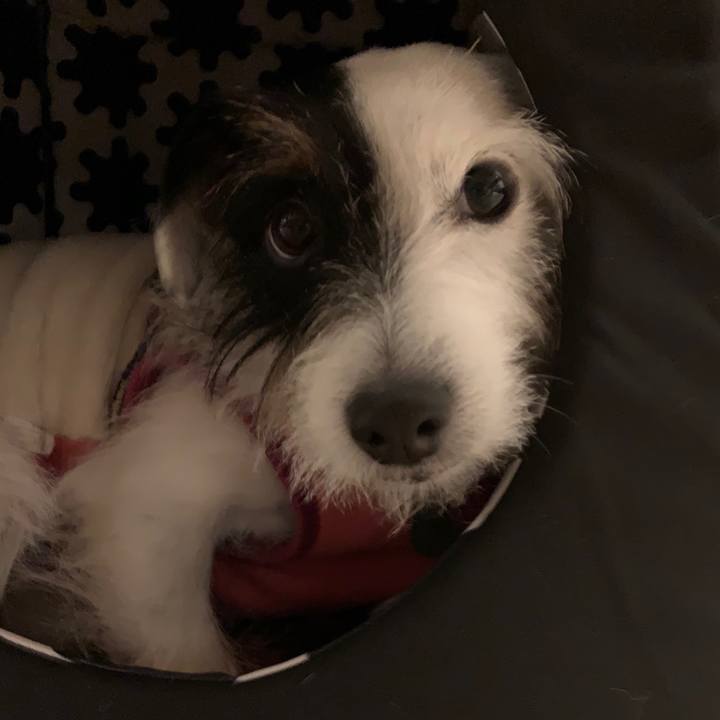 404fa8f3 cee1 451d a4cf 740f755b8dd7 1548766698866