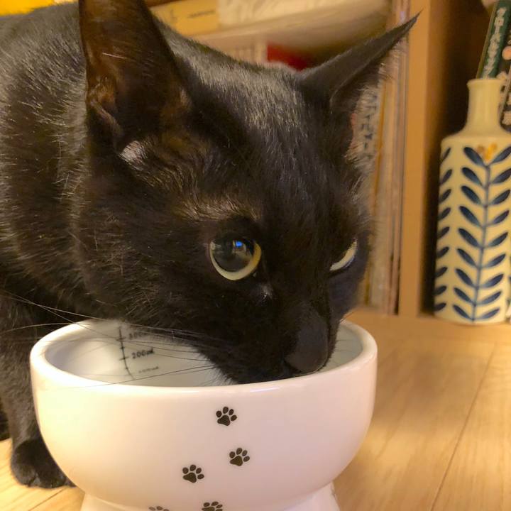 404fd9b8 2b1e 491b 91a0 02fa5b34b097 1513952591670