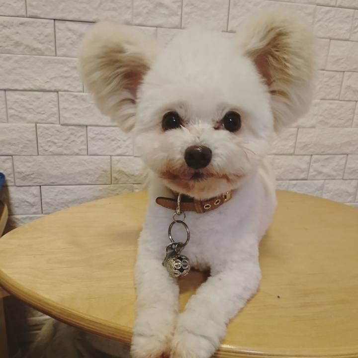 404ff3a4 cbab 45db 9017 58654609e655 1551519919620