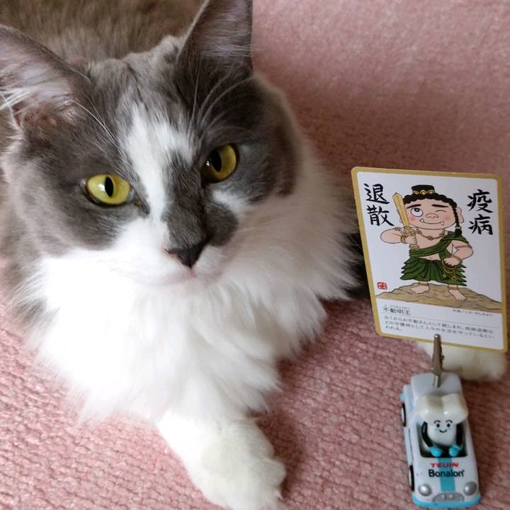 40501d5c 2c67 44d0 9894 38b65286d0cc 1606020854602