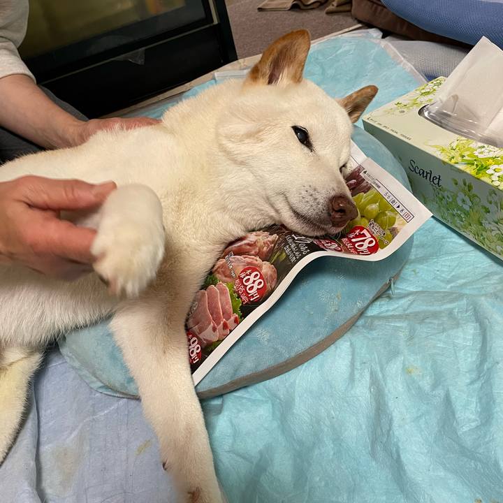 40503d41 dcd5 43dd a088 638bb02c9d64 1652081638844