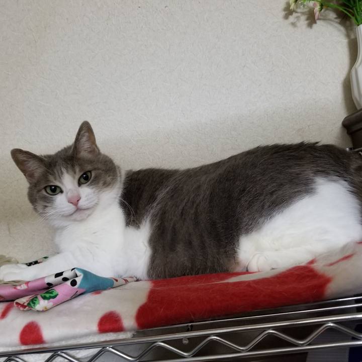 40504280 fc61 4393 87a6 950f846c5870 1668602503965