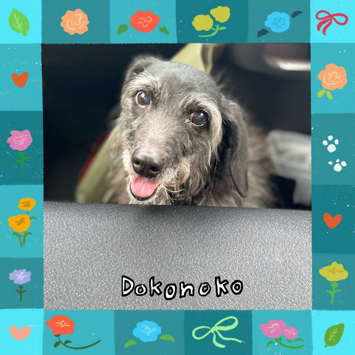 4050546c 518e 43d6 84eb 4af9ea2d2a8b 1715123192292