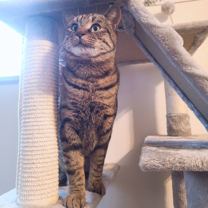 4050b4d7 796e 42dd 8ef9 12cfdaf95aff 1701929925643