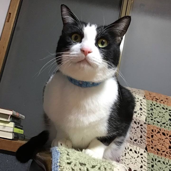 4050fcdb 6939 4f42 b955 e798723dca2e 1738245177137