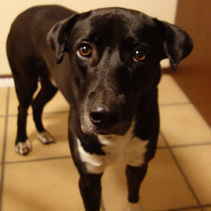 405107b3 2b49 4f08 a436 1eb00999e71c 1602201703128