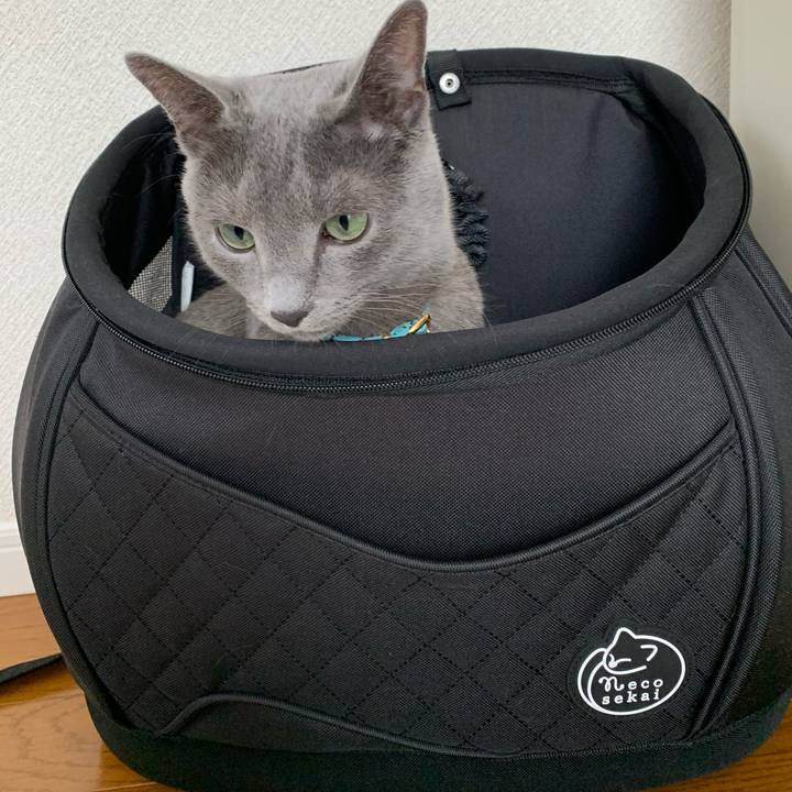 40511be6 0e8e 432a a36c 0a2afe046ba2 1610690746363