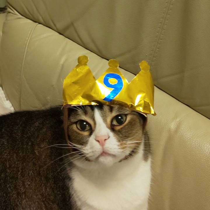 4051514a b216 481b ac57 1567cda10a8a 1636191554518