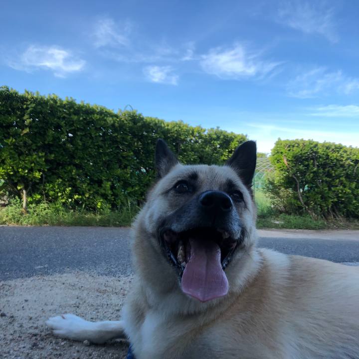 405152f5 a051 4a2e a949 d405491f9a32 1565440998818