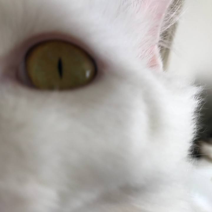 40515f8d b454 4b05 95b8 c8bba1316d74 1532162205144