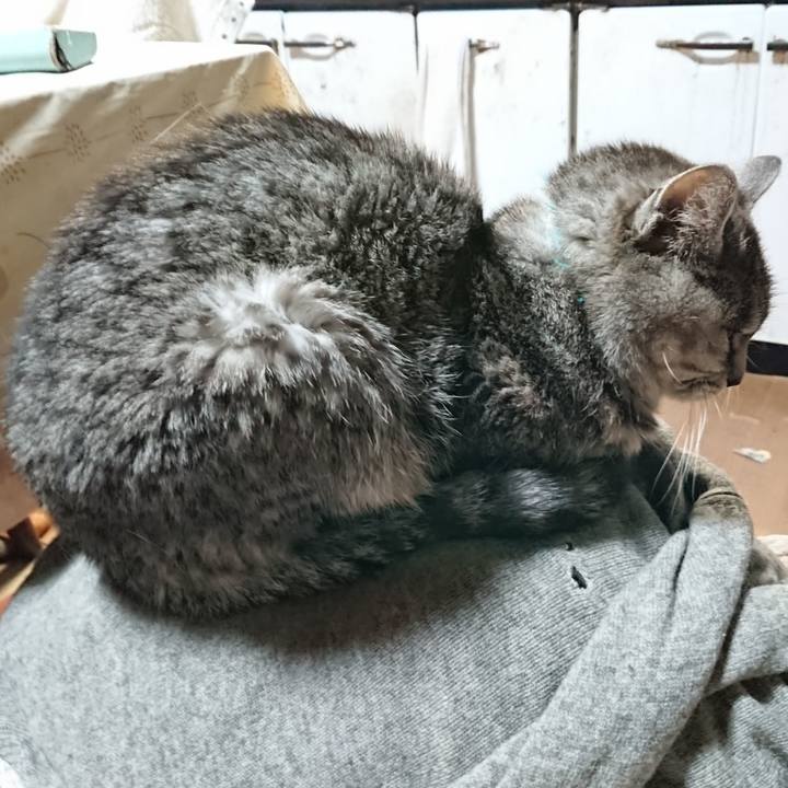 40517c01 bd43 4e70 9bd5 6999151146c7 1576966290337