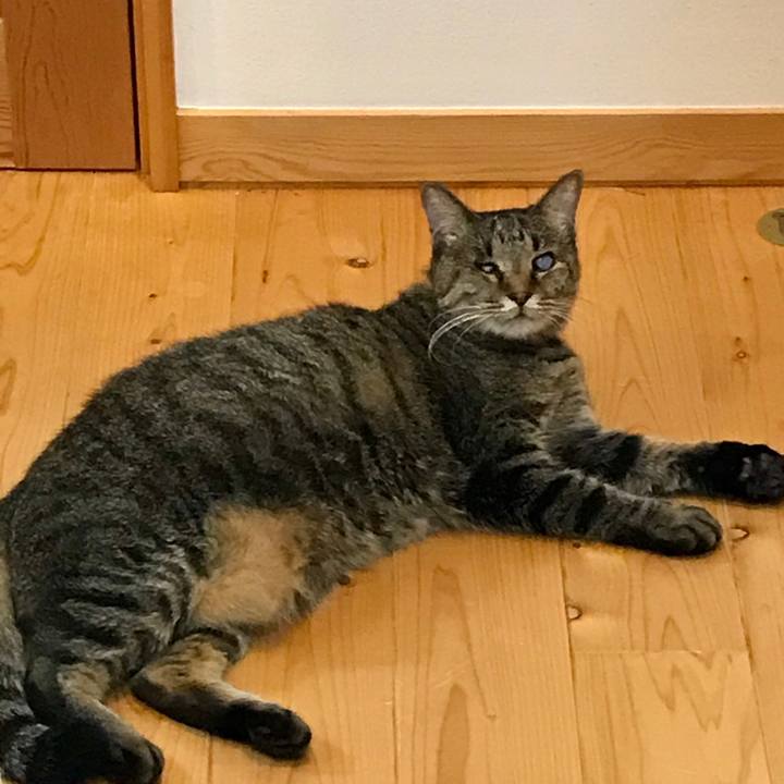 4051a342 e7e4 47be 893f 9758be929580 1601266822005