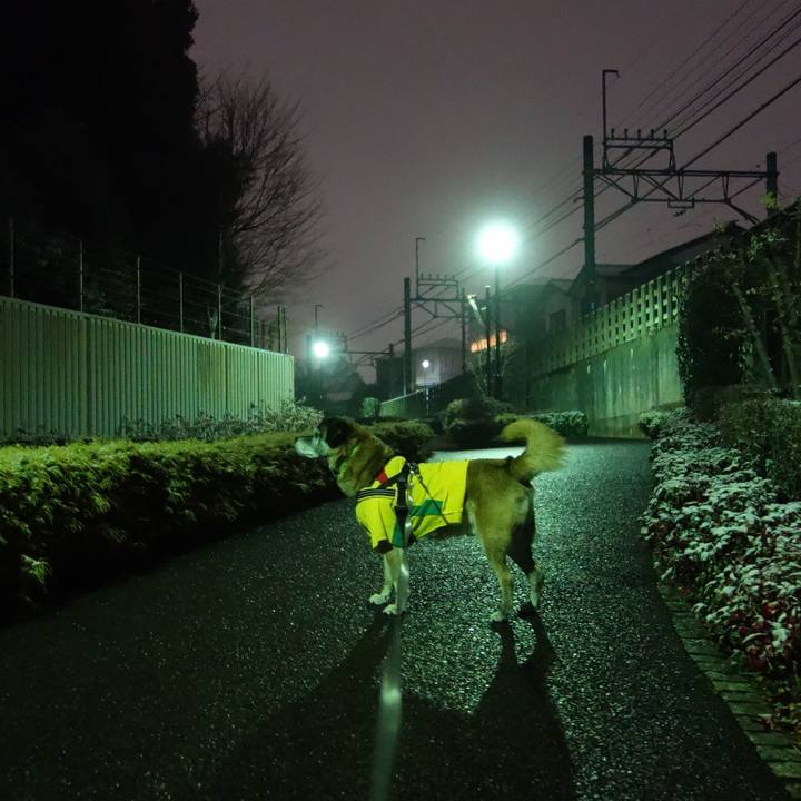 4051de6b 9cf8 4a5a a6d4 581ebe2a2ff0 1658186623998