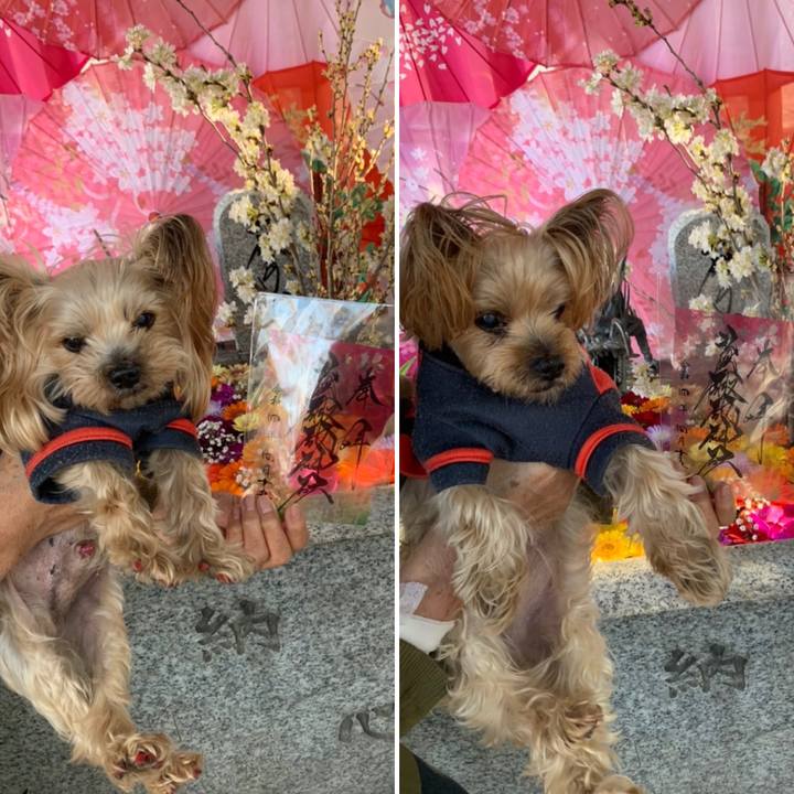 405216ae cd05 473e 9433 4eeb9626c15d 1650010814782