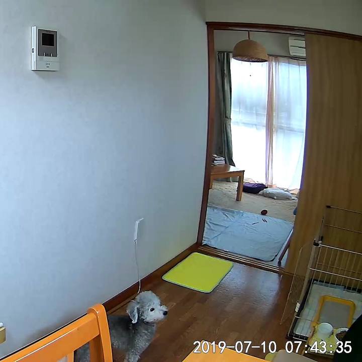 40521a32 22a0 4d37 9754 cccd9e9746fc 1562714982947