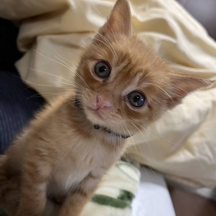 405230f5 4308 4fe4 a988 f987a6775532 1669443910859