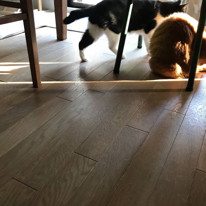 405251ba bb1f 4526 9ee6 66badff9c7a3 1513857261920