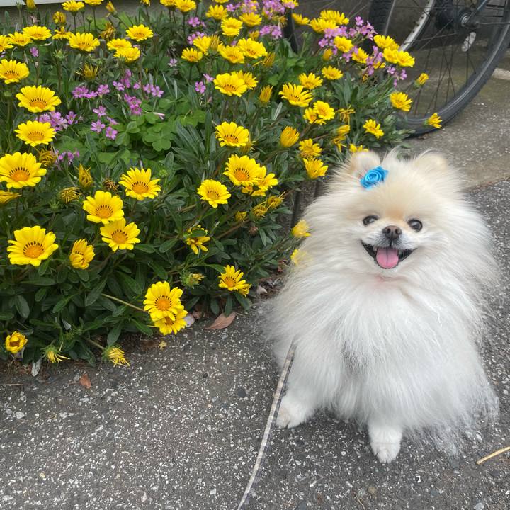 4052c61b 8ebc 46bc 8cab 8da6483f724a 1715140213909