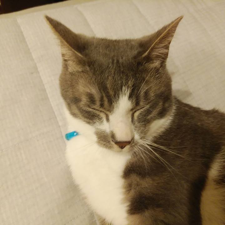 4052f28d c05b 427c 91e3 d63839b145d2 1590329730743