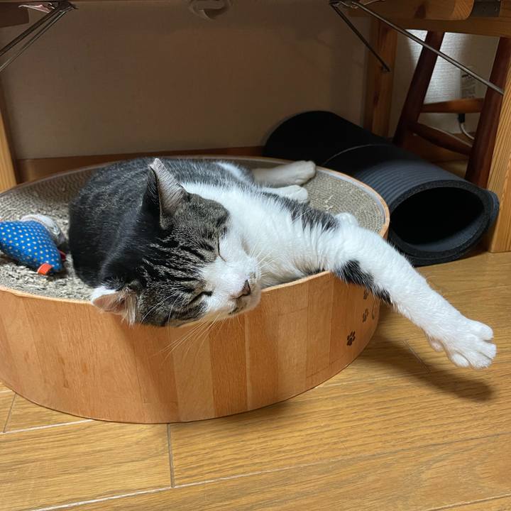 4052f528 4770 4003 b1d2 6228b716c154 1664613733190