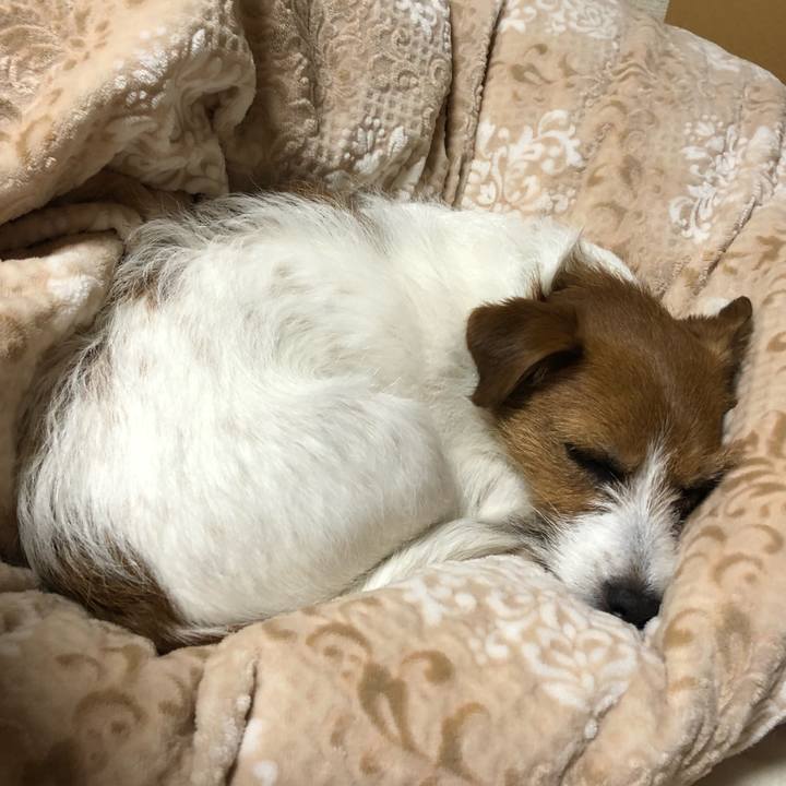 4053091a 3ffc 4ea8 a013 2915bd83bef5 1521643790217