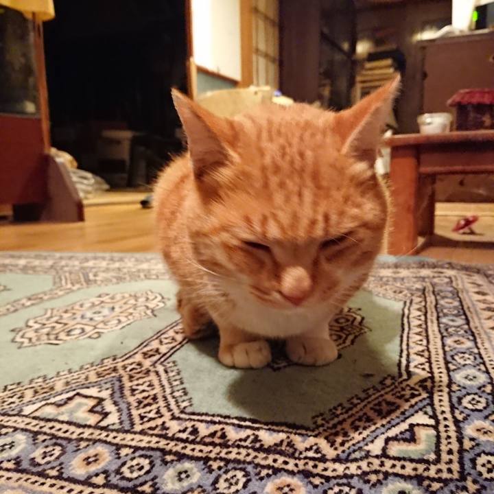 40530b70 913e 43bd ad2c 453bc75fe645 1576659370977