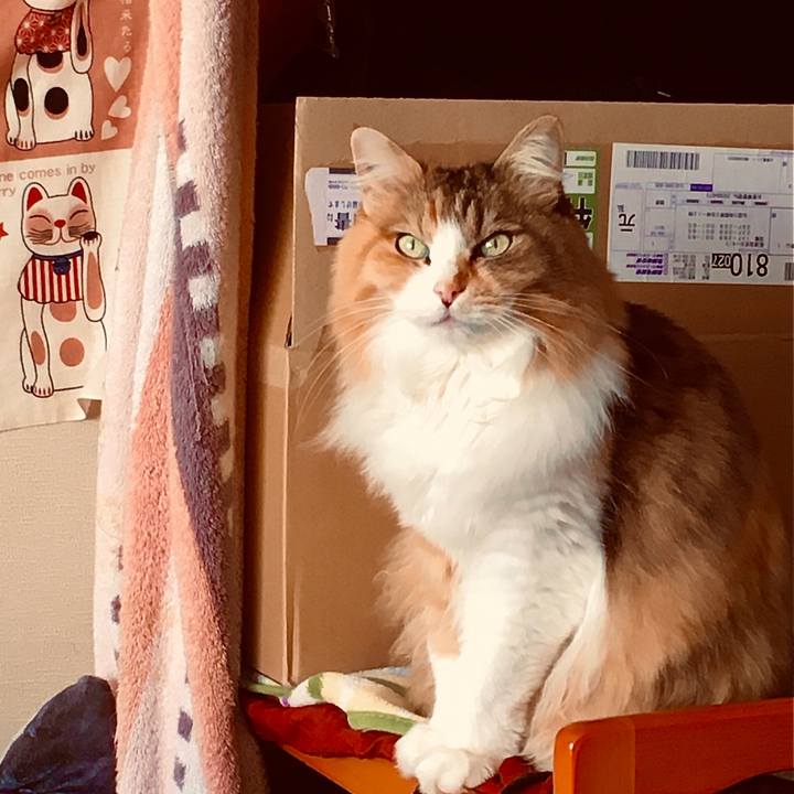 405322c2 f99a 4d3f a769 ba35b6643c75 1618270046545