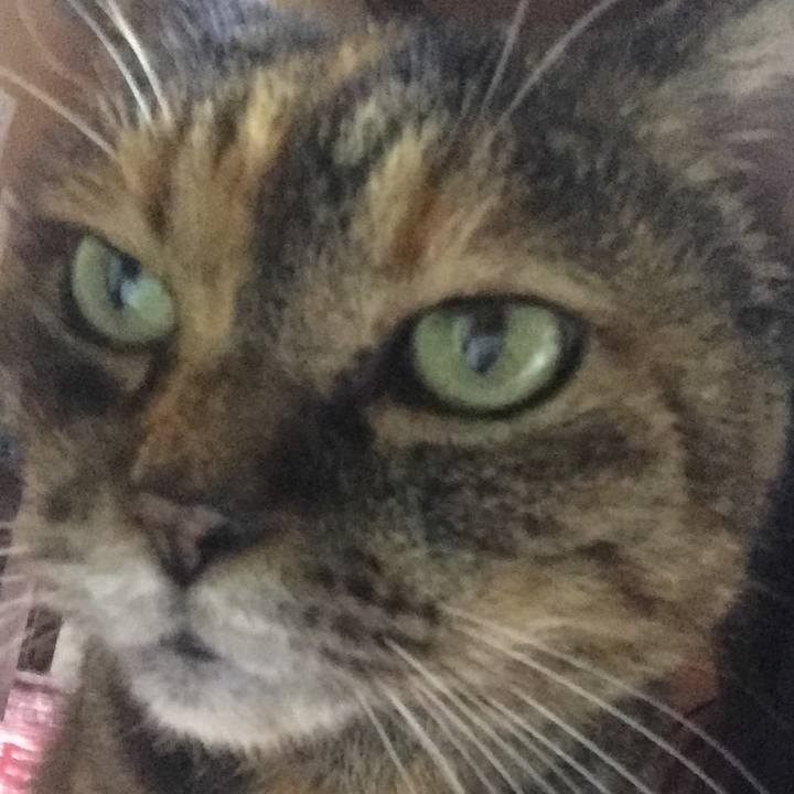 405337ac 5a28 40a7 8692 649f4ea60c75 1596280019684