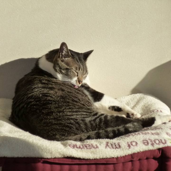 4053e5e7 8691 49e8 ad6d 34d851cbcd44 1550131994892