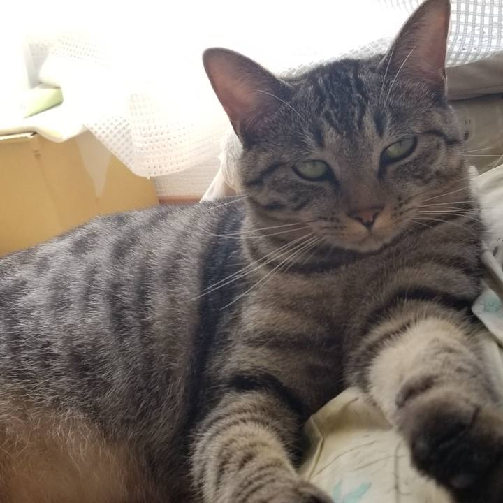 4053ef6c 51d1 41e8 b611 9c6f5be7ab9b 1693487661572