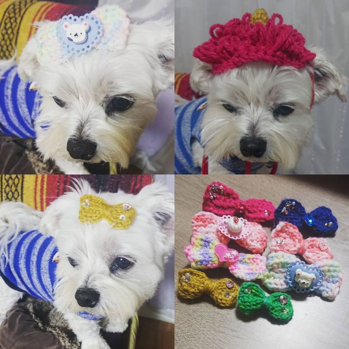 40540793 73f9 4a0a 98b3 fa92a1dd92f7 1642666729735