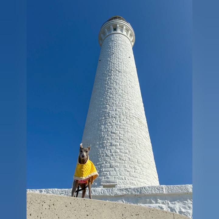 4054128c 596c 4f42 8290 924c6539ca69 1763640721435