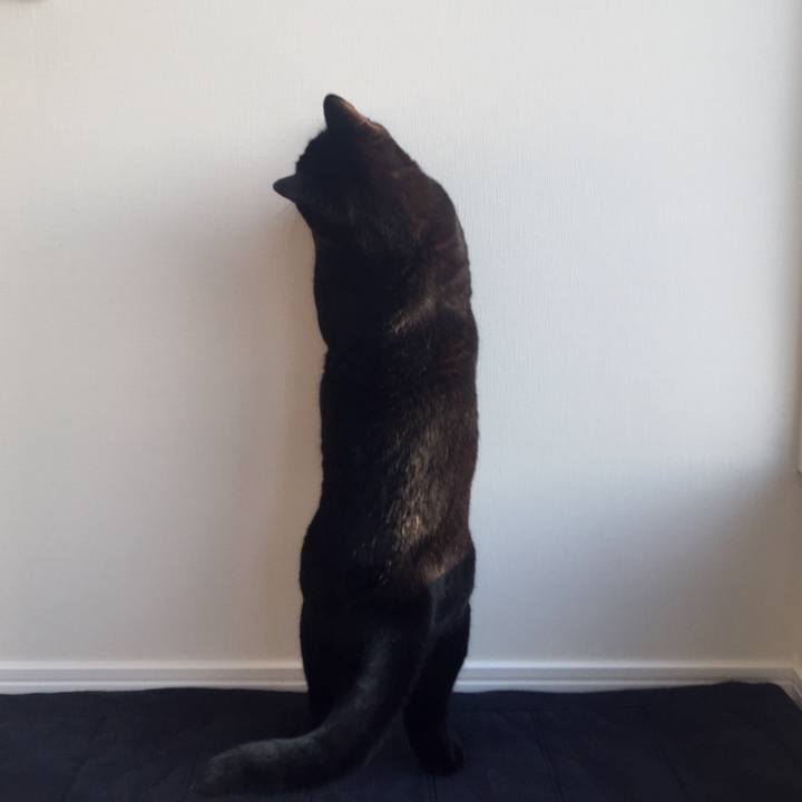 40541792 cd69 48f8 b916 885b74197ef8 1549264415682